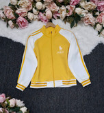 بامبر جک polo دورس سه نخ تو کرک در رنگبندی 🥰🥰 ۲۴۲۳۰ مدلند