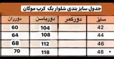 شلوار ریزشی مورگان☘️🌺284 آرشیدا